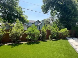Justin F.'s Leaf Removal service result