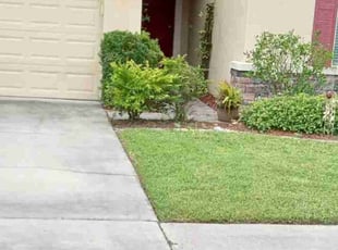 Yusuf Y.'s lawn maintenance service result