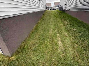 Kathy C.'s lawn care service result