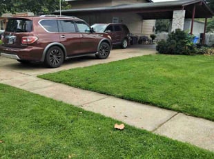 Tatiana S.'s lawn maintenance service result