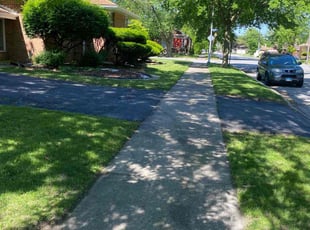 Clint L.'s grass cutting service result