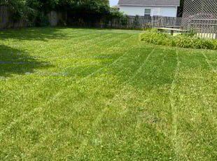 Kevin K.'s lawn maintenance service result