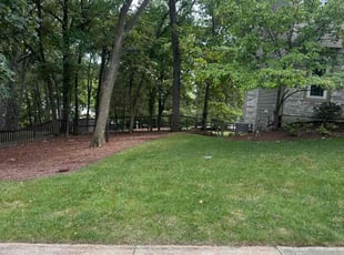 Nicole R.'s grass cutting service result