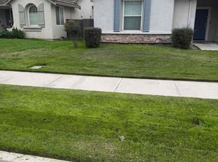 Teri S.'s grass cutting service result