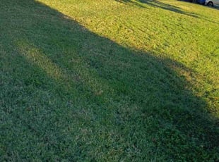 John P.'s lawn service service result