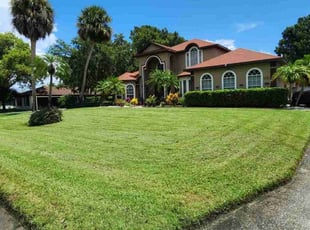 Tonnett D.'s lawn care service result