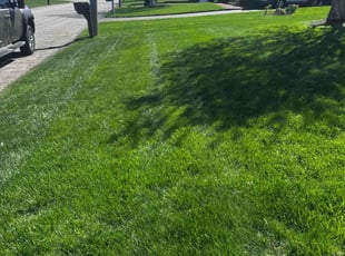 Mary J.'s lawn maintenance service result