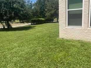 Kyli U.'s lawn care services service result