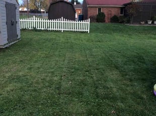 Travis B.'s turf maintenance service result
