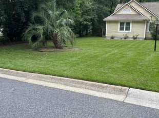 Erica B.'s turf maintenance service result