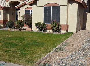 Jerry R.'s Flower Bed Weeding service result