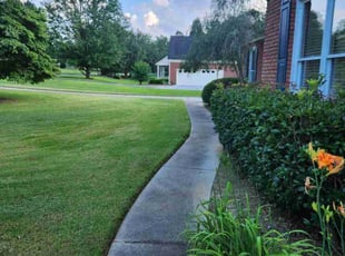 Len M.'s lawn service service result