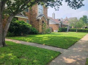Atul G.'s lawn care service result