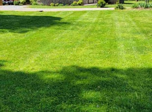 Larry M.'s lawn care services service result