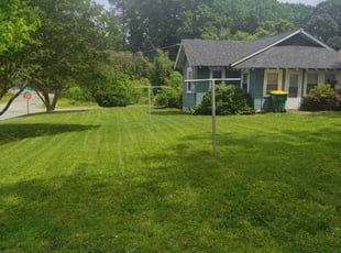 Sai M.'s yard maintenance service result