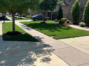 Susma S.'s turf care service result