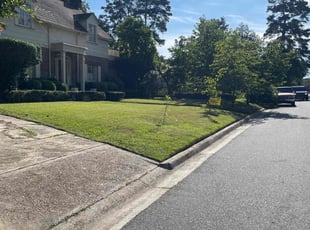 Steve R.'s grass maintenance service result