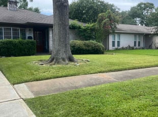 Sue H.'s turf care service result