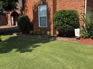 Anthony T.'s Bush Trimming service result