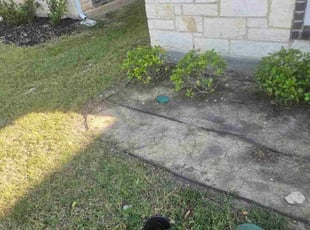 John Q.'s Flower Bed Weeding service result