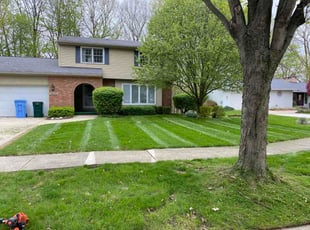 Josh R.'s lawn service service result