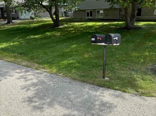 Jo C.'s grass cutting service result