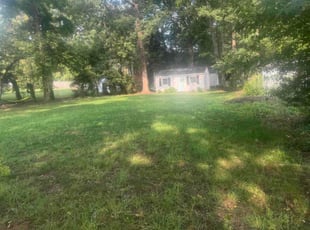 Jim D.'s grass maintenance service result