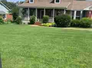 Betina B.'s turf maintenance service result