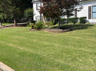 Michelle W.'s turf maintenance service result