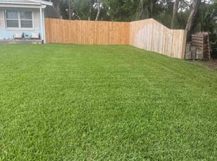 Joe H.'s lawn care services service result
