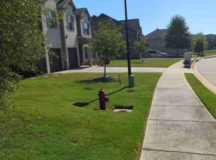 Harold W.'s turf care service result