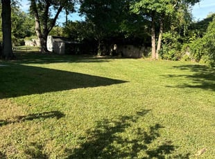Bobbie S.'s grass cutting service result