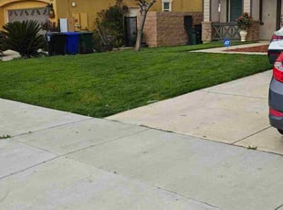 Kirstie V.'s turf care service result