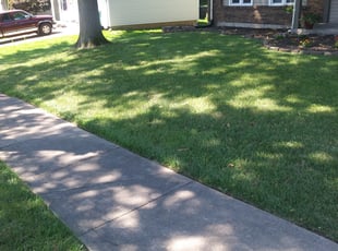 Brian D.'s lawn care services service result