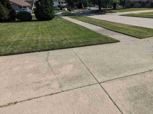 Jennifer L.'s grass maintenance service result