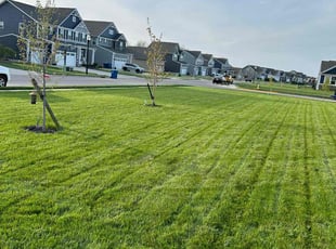 Tina H.'s lawn care services service result