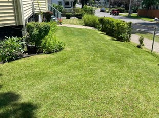 Joshua H.'s lawn service service result