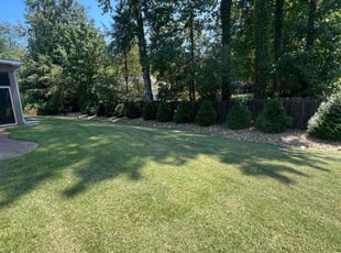 Karen S.'s turf care service result