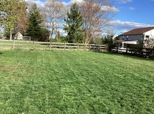 Martina L.'s lawn service service result