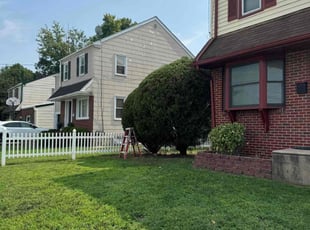 &quot;Crystal B.'s Bush Trimming service result