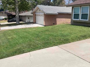 Samantha H.'s landscaping service result