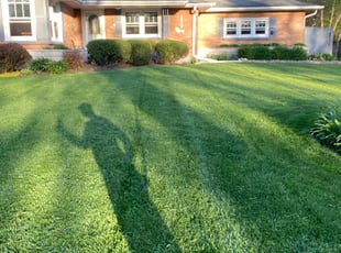 Ana Z.'s lawn care service result