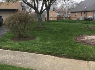 Arthur R.'s grass maintenance service result