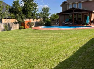 Savannah S.'s turf maintenance service result