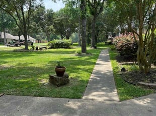 Lela G.'s grass cutting service result