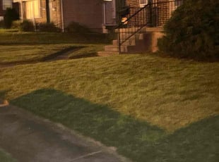 Preeya M.'s Bush Trimming service result