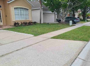 Kwame I.'s lawn maintenance service result