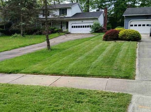 Wanda P.'s turf maintenance service result