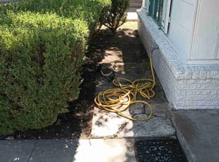 Goldie P.'s Flower Bed Weeding service result