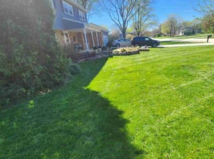 Lesley T.'s turf maintenance service result